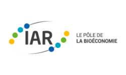 Logo IAR 