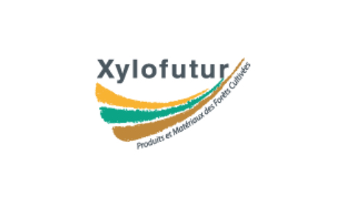 Logo Xylofutur