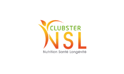 Logo NSL