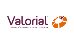 Logo Valorial